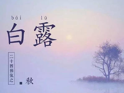 白露迎來秋涼，供暖用板式熱交換器生產(chǎn)廠家確保冬季供暖穩(wěn)定運(yùn)行