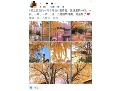 愛(ài)上青島的一萬(wàn)個(gè)理由，熱交換器廠家青島瑞普特算一個(gè)